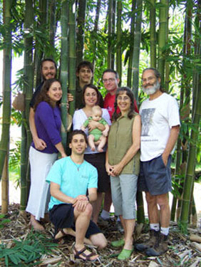 Beautiful Bamboo Family
